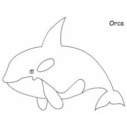Раскраска: кит (Животные) #891 - Раскраски для печати