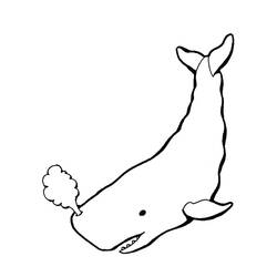 Раскраска: кит (Животные) #896 - Бесплатные раскраски для печати