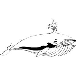 Раскраска: кит (Животные) #904 - Раскраски для печати