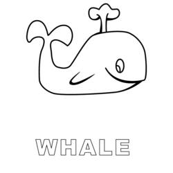 Раскраска: кит (Животные) #905 - Раскраски для печати