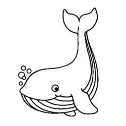 Раскраска: кит (Животные) #906 - Раскраски для печати
