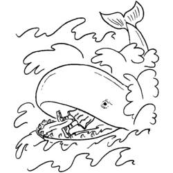 Раскраска: кит (Животные) #916 - Раскраски для печати