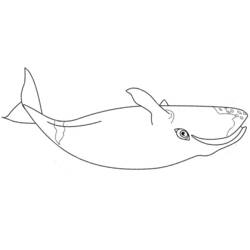 Раскраска: кит (Животные) #924 - Бесплатные раскраски для печати