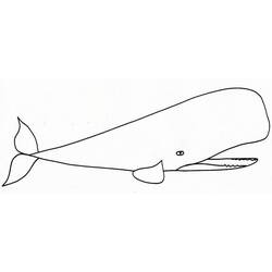 Раскраска: кит (Животные) #929 - Бесплатные раскраски для печати