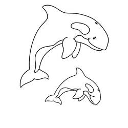 Раскраска: кит (Животные) #932 - Бесплатные раскраски для печати