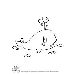Раскраска: кит (Животные) #939 - Раскраски для печати