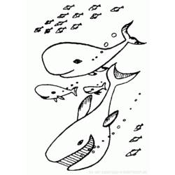 Раскраска: кит (Животные) #960 - Бесплатные раскраски для печати
