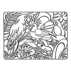 Раскраска: Дикие животные / джунгли (Животные) #21082 - Раскраски для печати