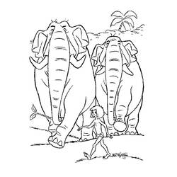 Раскраска: Дикие животные / джунгли (Животные) #21083 - Бесплатные раскраски для печати
