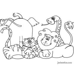 Раскраска: Дикие животные / джунгли (Животные) #21085 - Раскраски для печати