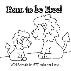 Раскраска: Дикие животные / джунгли (Животные) #21109 - Бесплатные раскраски для печати