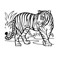 Раскраски: Дикие животные / джунгли - Раскраски для печати