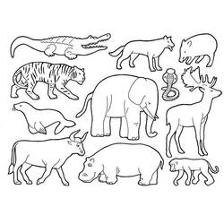 Раскраска: Дикие животные / джунгли (Животные) #21120 - Раскраски для печати