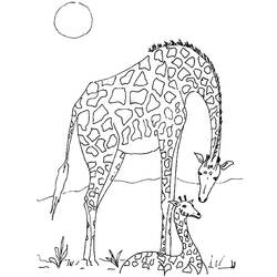 Раскраска: Дикие животные / джунгли (Животные) #21138 - Раскраски для печати