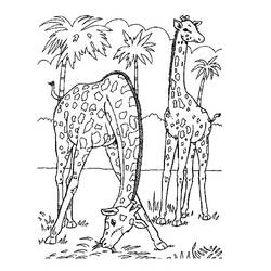 Раскраска: Дикие животные / джунгли (Животные) #21144 - Раскраски для печати