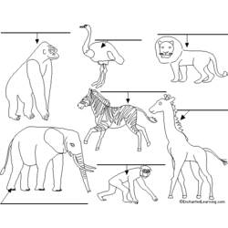 Раскраска: Дикие животные / джунгли (Животные) #21154 - Бесплатные раскраски для печати