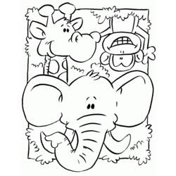 Раскраска: Дикие животные / джунгли (Животные) #21216 - Раскраски для печати