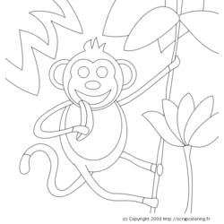 Раскраска: Дикие животные / джунгли (Животные) #21230 - Бесплатные раскраски для печати