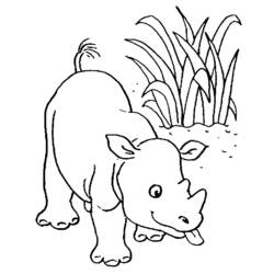 Раскраска: Дикие животные / джунгли (Животные) #21270 - Бесплатные раскраски для печати