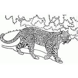 Раскраска: Дикие животные / джунгли (Животные) #21277 - Раскраски для печати