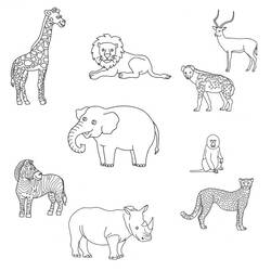 Раскраска: Дикие животные / джунгли (Животные) #21287 - Раскраски для печати