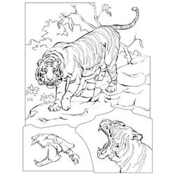 Раскраска: Дикие животные / джунгли (Животные) #21343 - Бесплатные раскраски для печати
