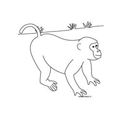Раскраска: Дикие животные / джунгли (Животные) #21359 - Бесплатные раскраски для печати