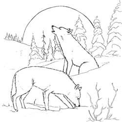 Раскраска: волк (Животные) #10439 - Раскраски для печати