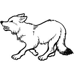 Раскраска: волк (Животные) #10475 - Раскраски для печати
