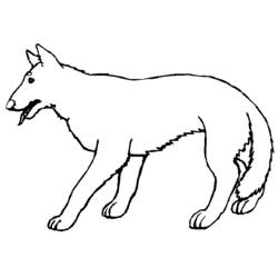 Раскраска: волк (Животные) #10505 - Бесплатные раскраски для печати