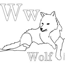 Раскраска: волк (Животные) #10524 - Раскраски для печати