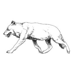 Раскраска: волк (Животные) #10530 - Бесплатные раскраски для печати
