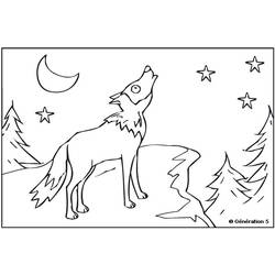 Раскраска: волк (Животные) #10558 - Раскраски для печати