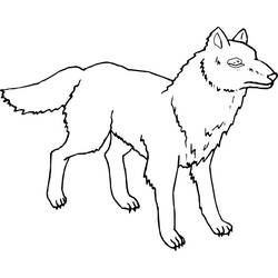 Раскраска: волк (Животные) #10600 - Бесплатные раскраски для печати