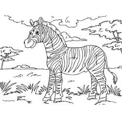 Раскраска: зебра (Животные) #12943 - Раскраски для печати