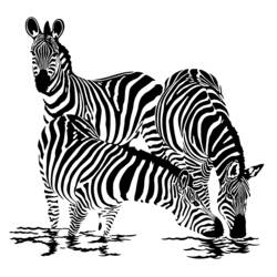 Раскраска: зебра (Животные) #12955 - Раскраски для печати