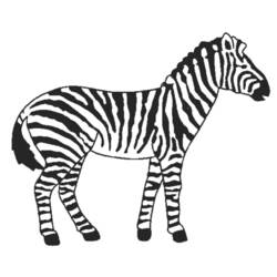 Раскраска: зебра (Животные) #12964 - Раскраски для печати