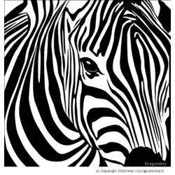 Раскраска: зебра (Животные) #12965 - Раскраски для печати
