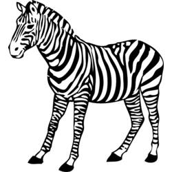 Раскраска: зебра (Животные) #12992 - Раскраски для печати