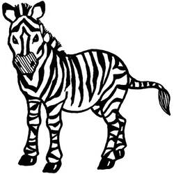 Раскраска: зебра (Животные) #12996 - Раскраски для печати