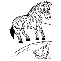Раскраска: зебра (Животные) #13013 - Бесплатные раскраски для печати