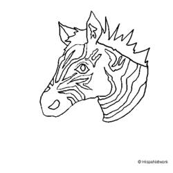 Раскраска: зебра (Животные) #13017 - Бесплатные раскраски для печати