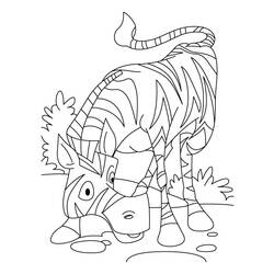 Раскраска: зебра (Животные) #13024 - Бесплатные раскраски для печати