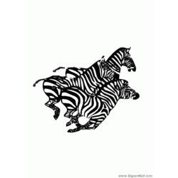 Раскраска: зебра (Животные) #13067 - Бесплатные раскраски для печати