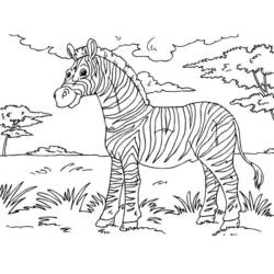 Раскраска: зебра (Животные) #13087 - Бесплатные раскраски для печати