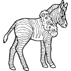 Раскраска: зебра (Животные) #13088 - Бесплатные раскраски для печати