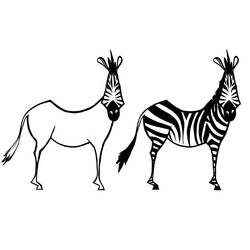 Раскраска: зебра (Животные) #13101 - Раскраски для печати