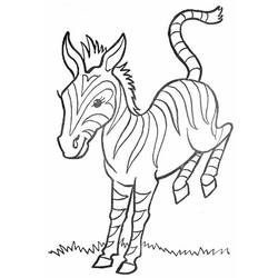 Раскраска: зебра (Животные) #13105 - Раскраски для печати