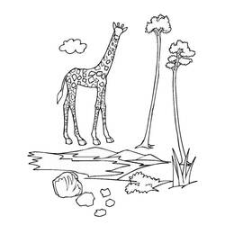 Раскраска: зоопарк (Животные) #12652 - Бесплатные раскраски для печати