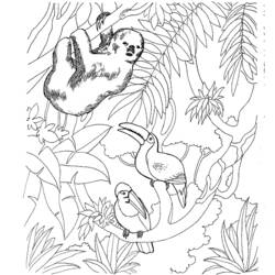 Раскраска: зоопарк (Животные) #12655 - Бесплатные раскраски для печати